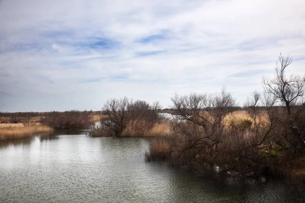 Wetlands Emporda Natural Park Girona Spain — Stock Photo, Image