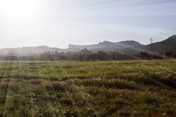 Campos Teruel Espanha — Fotografia de Stock