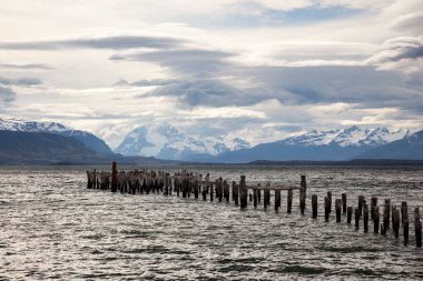 Eski bir iskelenin kalıntıları, şimdi de deniz kuşları için dinlenme yeri. Puerto Natales, Şili Patagonya.