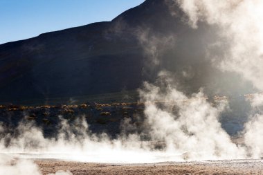 Sabah erken saatlerde San Pedro de Atacama, Şili 'deki El Tatio gayzerlerinde.