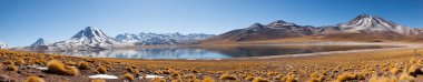 Laguna Miscanti Panoramisi