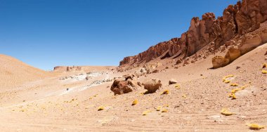 Tara 'nın Salar' ı, Atacama Çölü. Kuzey Şili
