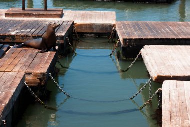 San Francisco, ABD-20 Haziran 2017: San Francisco 'daki ünlü Rıhtım 39' u ziyaret eden çok sayıda turist