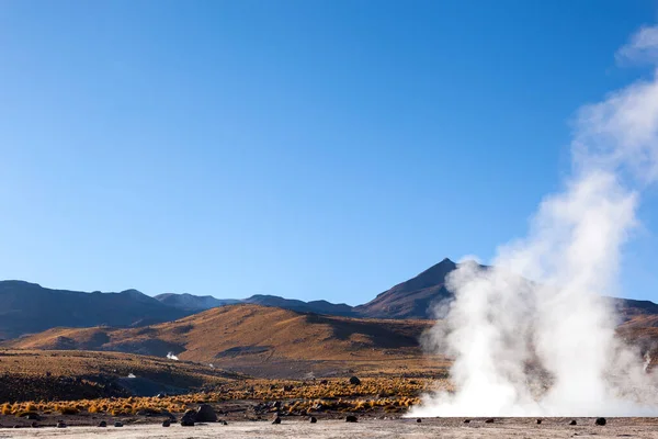 Kora Reggeli Tatio Gejzírek San Pedro Atacama Chile — Stock Fotó