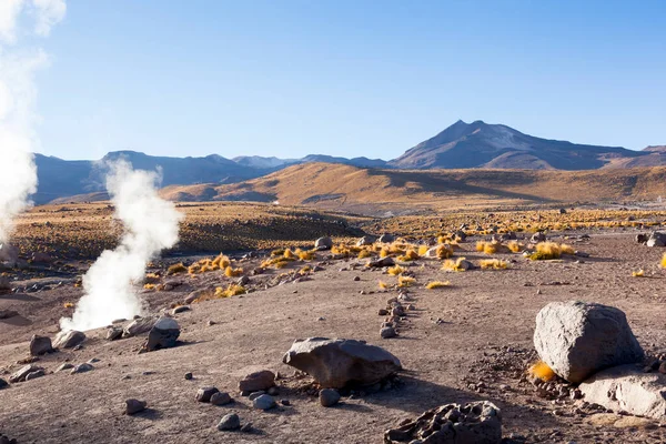Sabah erken saatlerde San Pedro de Atacama, Şili 'deki El Tatio gayzerlerinde.