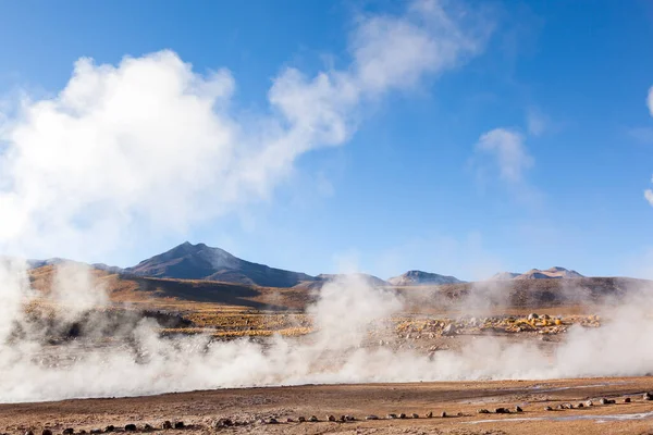 Morning Early Tatio Geysers San Pedro Atacama Chile — Stock Photo, Image