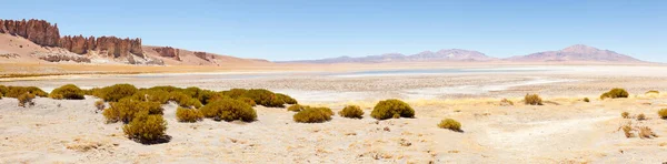 Salar Tara Desierto Atacama Norte Chile —  Fotos de Stock