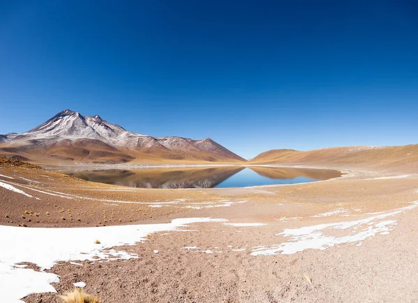 Krajobraz Laguna Miiquito Północ Chile — Zdjęcie stockowe