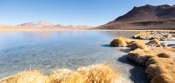 Salar Tara Atacama Desert North Chile — Stock Photo, Image