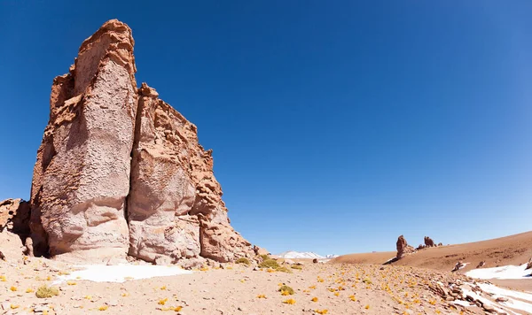 Salar Tara Deserto Atacama Norte Chile — Fotografia de Stock
