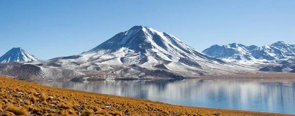 Panoramatické Laguna Miscanti — Stock fotografie