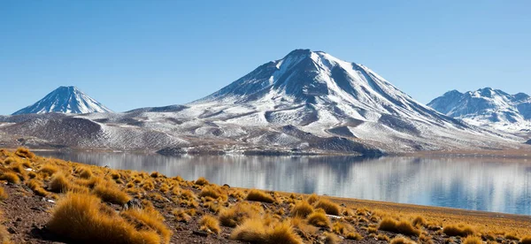 Panoramatické Laguna Miscanti — Stock fotografie