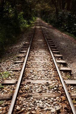 Machu Pichu 'ya giden tren yolu.