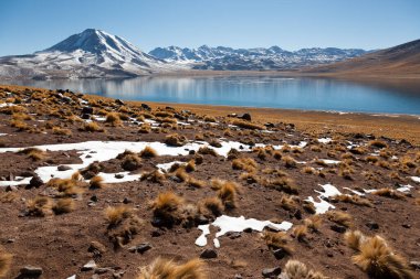 Laguna Miscanti Panoramisi