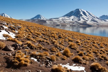 Laguna Miscanti Panoramisi