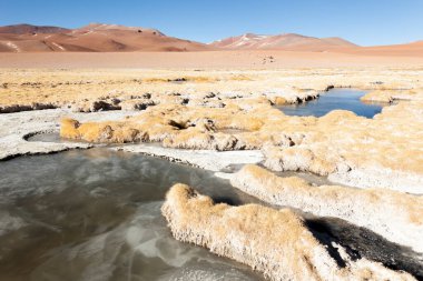 Şili And Dağları 'nda 5.000 metre yükseklikte