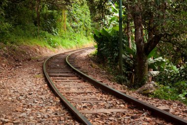 Aguas Calientes 'e giden tren yolu. Peru