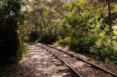 Aguas Calientes 'e giden tren yolu. Peru