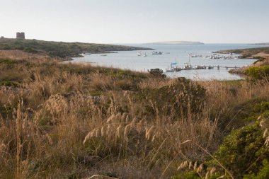 Menorca Adası 'nda Akdeniz