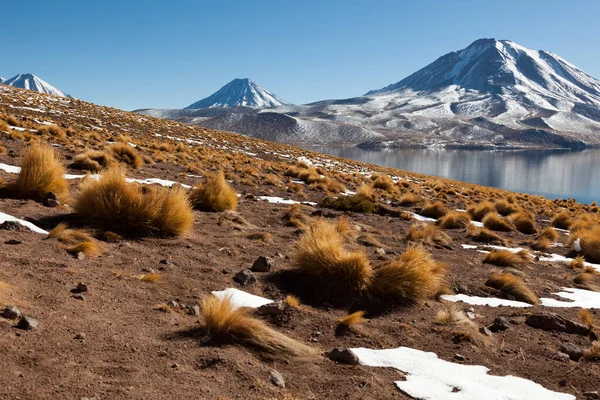 Panoramic Laguna Miscanti — Stock Photo, Image