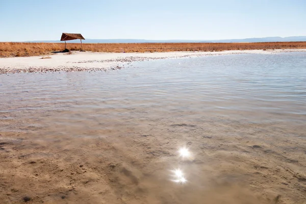 Piscina Natural Desierto Atacama Junto Sal Agua —  Fotos de Stock