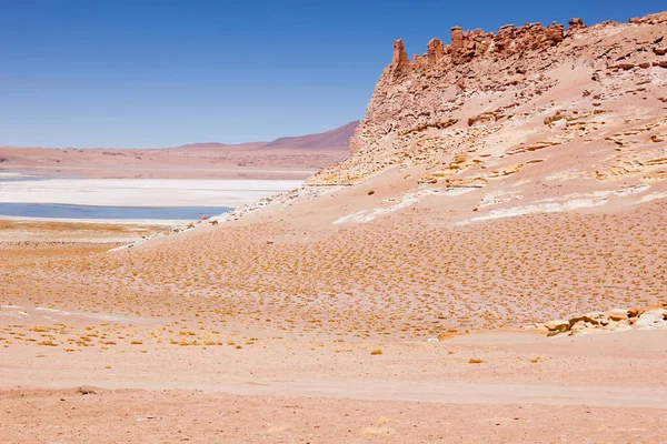 Salar Tara Desierto Atacama Norte Chile —  Fotos de Stock