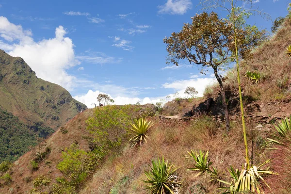 Inca Trail Way Machupicchu Peru — Stock Photo, Image