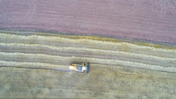 Vista Aérea Máquina Ceifeira Que Trabalha Campo Combine Harvester Agricultura — Fotografia de Stock