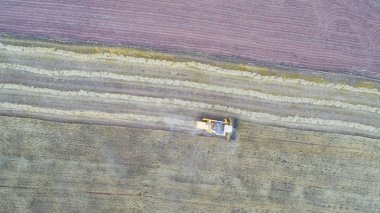 Hasat makine alanında çalışan hava görünümünü. Altın olgun buğday alan hasat hasat Tarım makineleri birleştirmek.