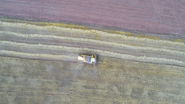 Vista Aérea Máquina Ceifeira Que Trabalha Campo Combine Harvester Agricultura — Fotografia de Stock