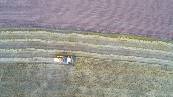 Vista Aérea Máquina Ceifeira Que Trabalha Campo Combine Harvester Agricultura — Fotografia de Stock