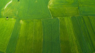 Güzel bahar doku veya tarım manzara arka plan. Tarım arazileri dron görünümden. Kopya alanı ile üstten görünüm