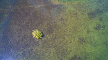 Göle - havadan görünümü ortasında yalnız ağaç