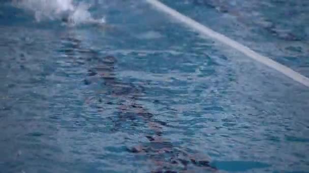 Freestyle Swimming Crawl Stroke Esportes Slow Motion — Vídeo de Stock