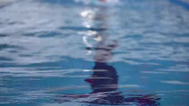 Freestyle Swimming Crawl Stroke Esportes Slow Motion — Vídeo de Stock