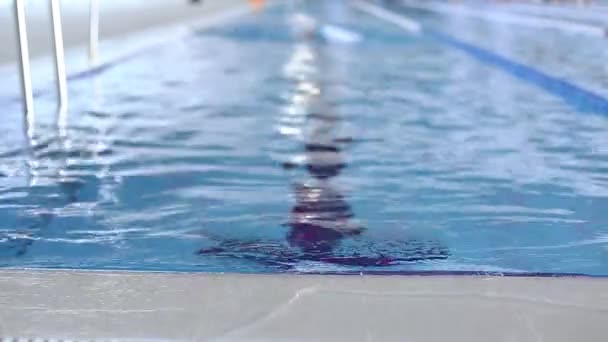 Freestyle Swimming Crawl Stroke Sportovní Pomalý Pohyb — Stock video