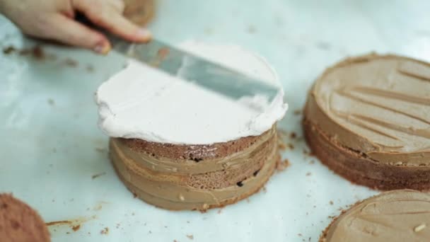 Crema Con Preparación Chocolate Pastel — Vídeo de stock