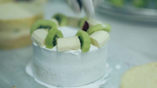 Kuchen Mit Früchten Dekorieren — Stockvideo