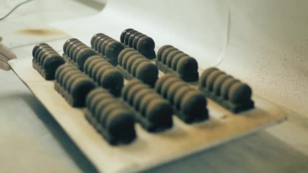 Rushing Chocolade Met Cake — Stockvideo