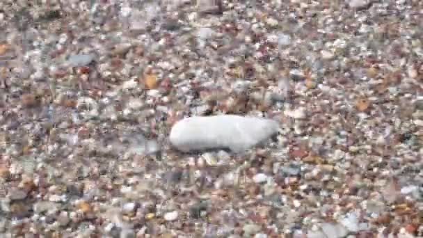 Onde Sulla Spiaggia Portando Pietre — Video Stock