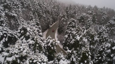 Havadan görünümü kış orman. Doğal kış manzara--dan soluduğumuz hava. Orman kış kar altında zaman. Sisli ve karlı kış dağlar hava görünümünü. Bir yolun pastoral kış manzara havadan görünümü.
