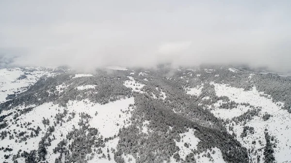 Вид Воздуха Зимний Лес Природный Зимний Пейзаж Воздуха Лес Снегом — стоковое фото