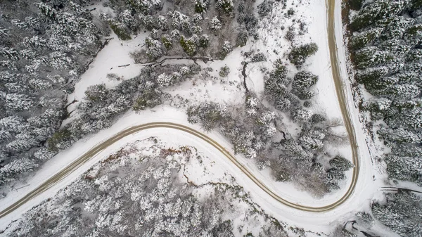 Aerial view at the winter forest. Natural winter landscape from air. Forest under snow a the winter time. Aerial view of the foggy and snowy winter mountains. Aerial view of a road in idyllic winter landscape.