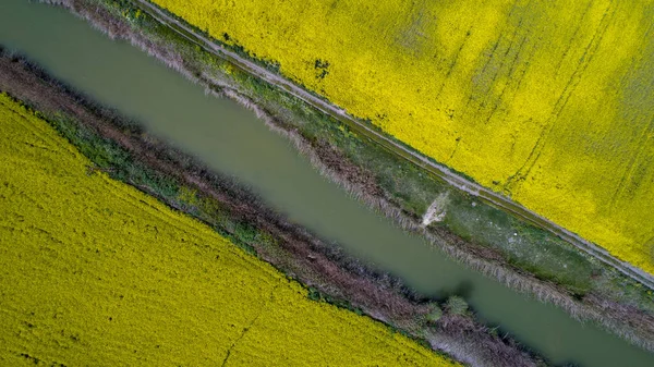 Arte Abstrato Fundo Primavera Fundo Verão Com Canola Field — Fotografia de Stock