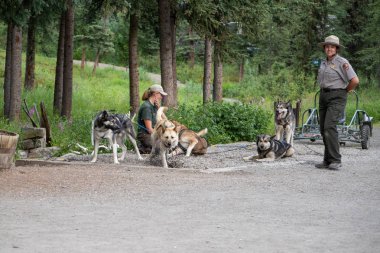 30 Temmuz 2018 - Denali, Alaska: Milli Park Servisi rangers vermek bir kızak köpek gösteri Alaskan Huskies ile