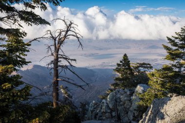 --Dan belgili tanımlık palmiye Coachella Valley görünümünü hava tramvay yaylar