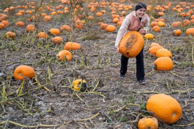 Yetişkin kadın (30s) çalışır ve kaldırmaya ve dev bir kabak kabak patch dan almak için mücadele ediyor. Gülümseyen ve gülen ve having fun