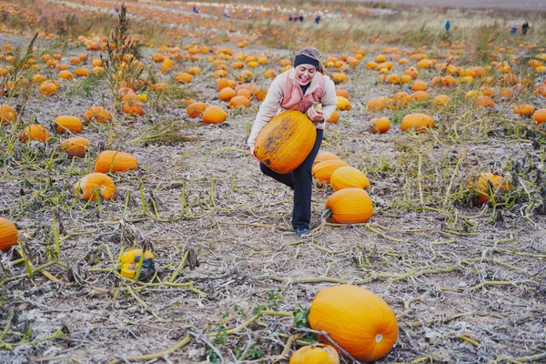 Adult Woman Attempts Pick Giant Pumpkin Pumpkin Patch Smiling Laughing — Stock Photo, Image