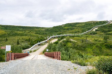 Trans Alaska boru hattı Richardson yolu boyunca Phelan Creek alanında yokuş yukarı çalışır