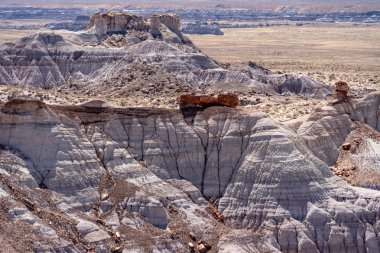 Kaya oluşumları Arizona taşlaşmış orman Milli Parkı güneşli yaz gününde